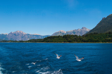 Obraz premium Nahuel Huapi lake, Patagonia Argentina, near Bariloche
