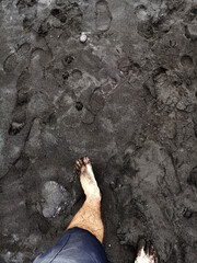 Bare Feet Walking on Black Sand in Shorts