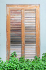 Old wooden ventilator window surrounded by green leaves