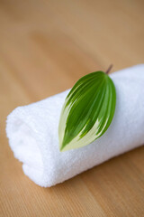 rolled towel topped with leaf