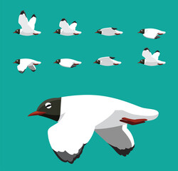 Black Head Gull Flying Animation Sequence Cartoon Vector
