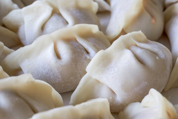 Fototapeta na wymiar Close-up of a plate of freshly made dumplings