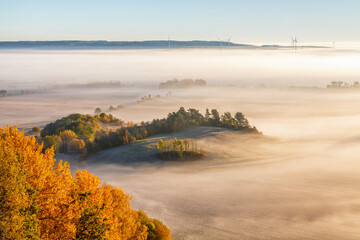 Obraz premium Misty dawn in a rolling rural landscape