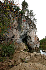 Obraz premium tree on the rocks