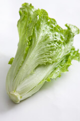 fresh lettuce on white background