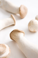 fresh mushroom on white background
