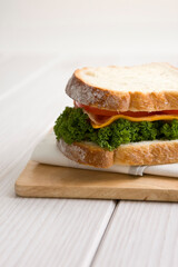 fresh healthy sandwich