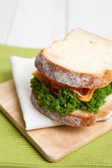 fresh healthy sandwich