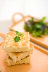 close up of tofu steak