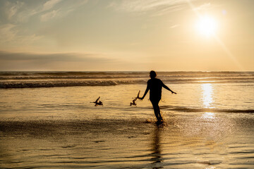 woman chasing seagulls in the sea while the sun goes down
