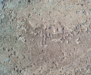 concrete surface with protruding small stones