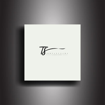 TS Signature style monogram.Calligraphic lettering icon and handwriting vector art.