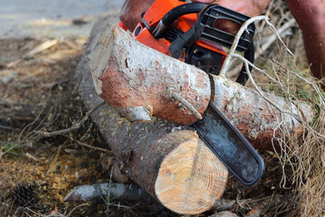 close-up of a chainsaw eating its way through some tree trunks on the ground with its saw blade
