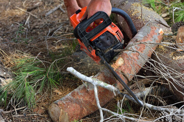 close-up of a chainsaw eating its way through some tree trunks on the ground with its saw blade