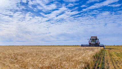Harvesting equipment in wheat fields