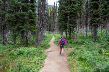 walking in the woods