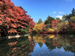 紅葉した木々が池に反射する