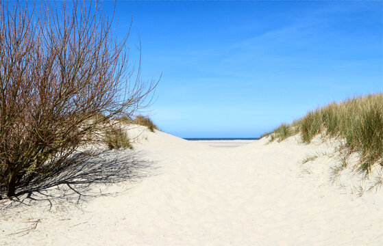 Weg am Seeblick zum Strand