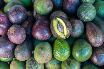 Fresh avocados at local market. Pile of avocado are selling in the fresh market. Green avocado piles of fruit sold on the streets of Thailand.