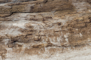texture of old braun wood