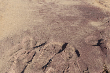 unusual purple sand on the beach