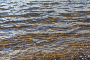 sea water and seabed 
