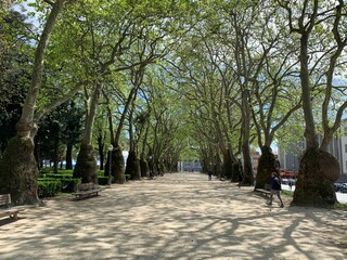 Walking in European Bliss