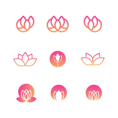 Illustration Vector Graphic Set of Lotus Logo