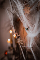 Background of decorations for Halloween celebration.