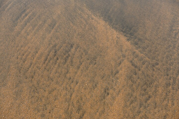 Simple sand texture, Yellow color. Abstract nature background