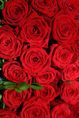 Rote Rosen auf einem Spiegel