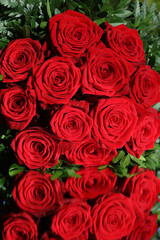 Rote Rosen auf einem Spiegel