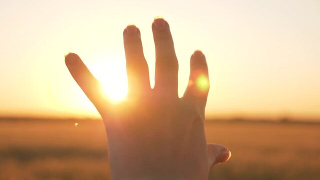 Close-up of a man's hand. The man's hand reaches for the sun. Sun glare in the fingers. The concept of travel, religion, dreams. Silhouette of a female hand in the sun.