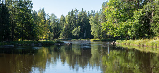 Salmon river area in autumn. Farnebofjarden national park in Sweden.