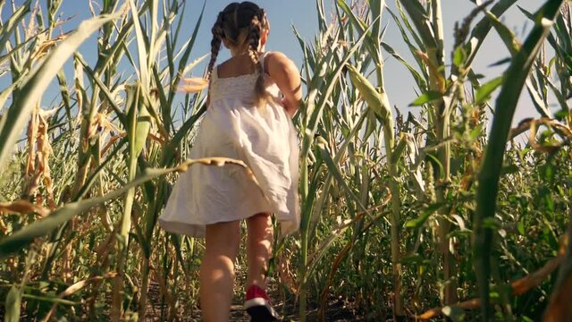 Happy farmer girl runs in the corn field. The child plays in the cornfield. The kid is having fun in the fresh air. Happy childhood of the child. The concept of agriculture, farming, organic crops.