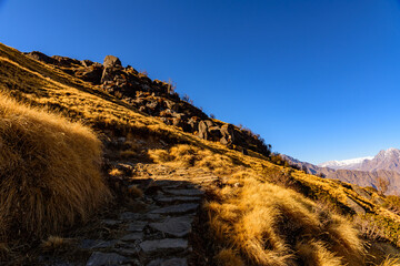 This is the view enroute to Khalia top trek trail through Himalayas autumn alpine grass landscape at Munsiyari. Khalia top is at an altitude of 3500m himalayan region of Kumaon, Uttarakhand, India.