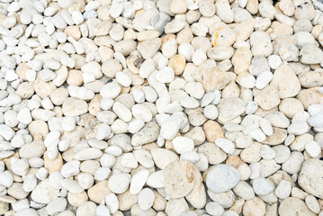 White pebble on the small garden ground. Decoration material for garden