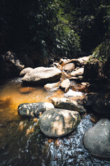 Clear rivulet. and rocks during the day In the forest