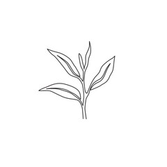 One continuous line drawing of whole healthy organic tea leaf for herbal drink logo identity. Fresh nature concept for tea plantation icon. Modern single line draw design vector graphic illustration