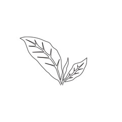Single continuous line drawing healthy organic tea leaves for plantation logo identity. Fresh tender bud of tea shoot concept for tea leaf icon. Modern one line draw graphic design vector illustration