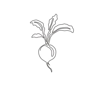 recommend clip art: One single line drawing of whole healthy organic red radish for farm logo identity. Fresh crop concept for edible root vegetable icon. Modern continuous line draw design vector graphic illustration