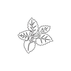 Single continuous line drawing of healthy organic mint leaves for farm logo identity. Fresh mentha plant concept for plantation icon. Modern one line draw design graphic vector illustration © Simple Line