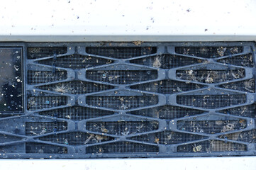Bugs and flies crashed and stuck in grille of car radiator