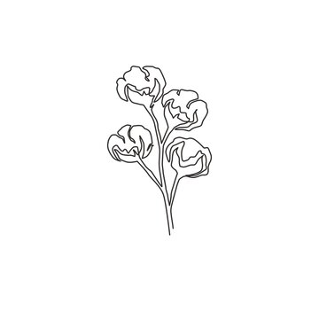 One continuous line drawing of whole soft and fluffy cotton flower for farming logo identity. Staple fiber flower concept for garden icon. Modern single line draw graphic design vector illustration