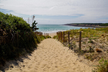 Fototapeta na wymiar sandy coast access to sea beach in atlantic ocean in France