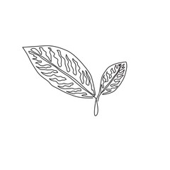 One continuous line drawing of cute tropical leaves aglaonema plant. Printable decorative houseplant concept for home wall decor ornament. Modern single line draw design graphic vector illustration