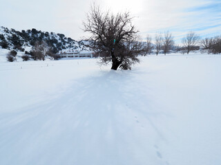 Greece Crete islad Omalos mountain