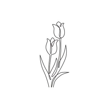One continuous line drawing of beauty fresh tulip for logo. Printable poster decorative Netherlands nationality flower concept wall home decor art. Modern single line draw design vector illustration