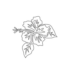 Single continuous line drawing of beauty fresh hibiscus for park logo. Printable decorative rose mallow flower concept wall home decor poster. Modern one line draw design graphic vector illustration