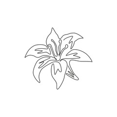 One continuous line drawing of beauty fresh perennials lilium for garden logo. Printable decorative true lilies flower for home wall decor poster. Modern single line draw design vector illustration